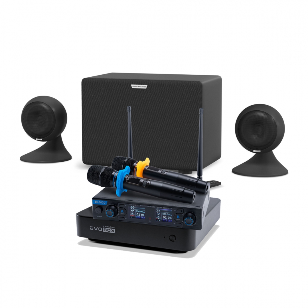караоке-комплект EVOBOX + EvoSound Sphere 2.1 в Межгорье