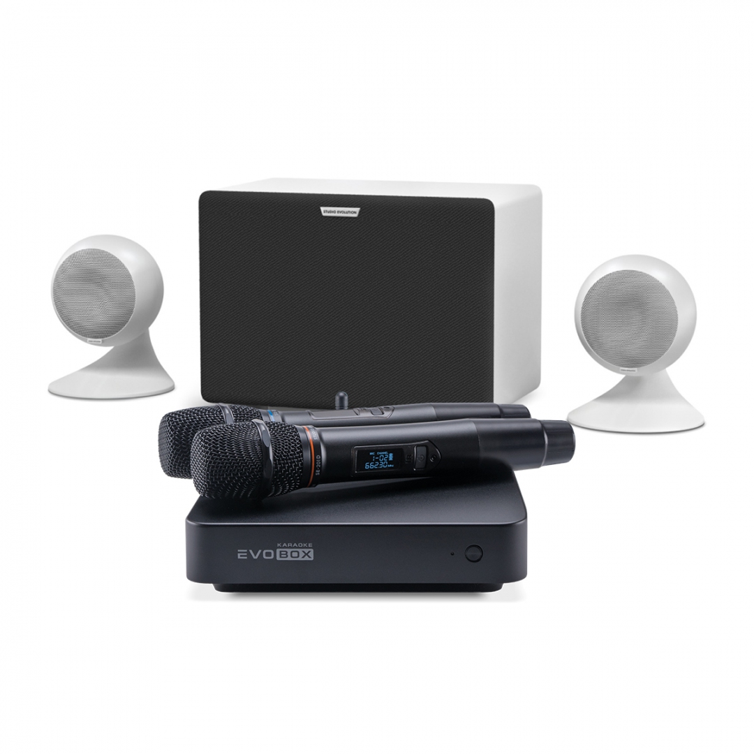 караоке-комплект EVOBOX Classic + EvoSound Sphere 2.1 в Межгорье