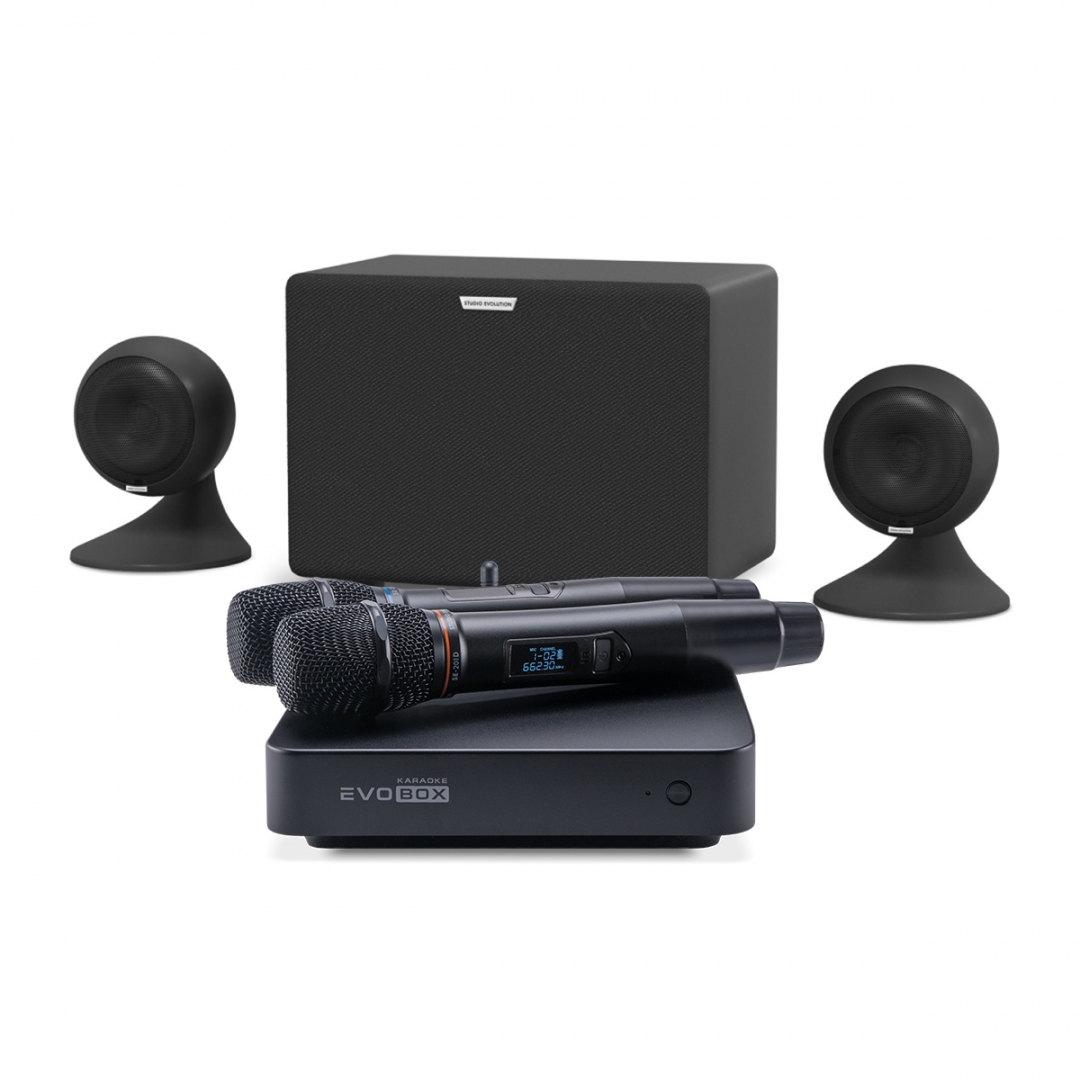 караоке-комплект EVOBOX Plus + EvoSound Sphere 2.1 в Межгорье
