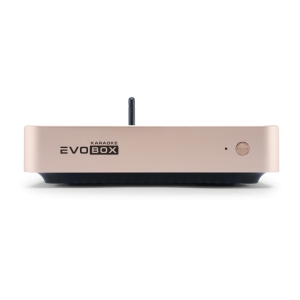 EVOBOX Classic караоке-система для дома в Межгорье