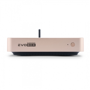 EVOBOX Plus караоке-система для дома в Межгорье