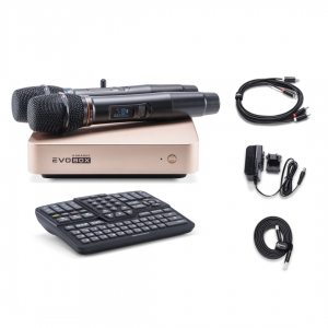 EVOBOX Plus караоке-система для дома в Межгорье