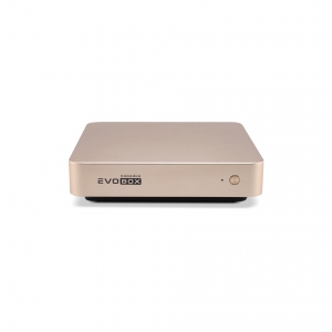 EVOBOX с микрофонами в Межгорье